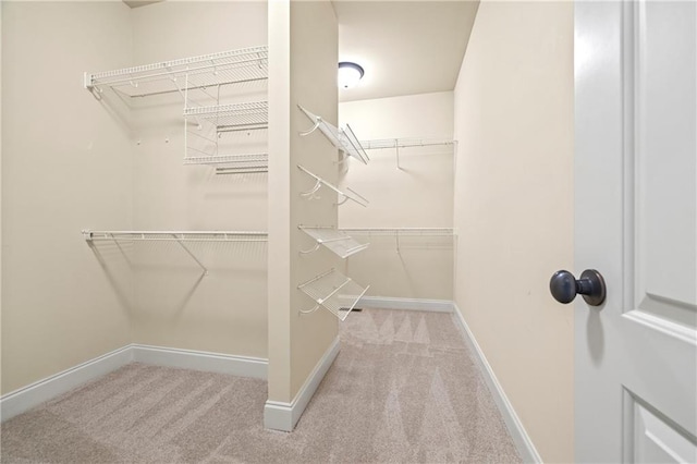 walk in closet with carpet