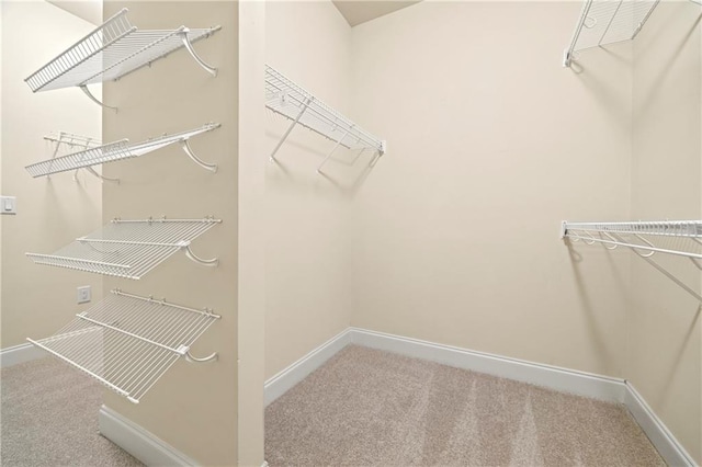 walk in closet with carpet flooring
