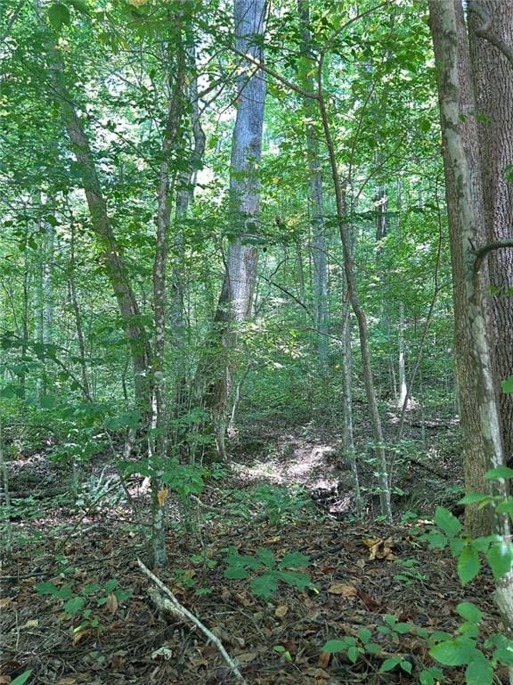 NA Rambling Rd, Fairmount GA, 30139 land for sale