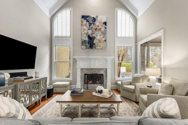 living room featuring light hardwood / wood-style flooring, a fireplace, and high vaulted ceiling