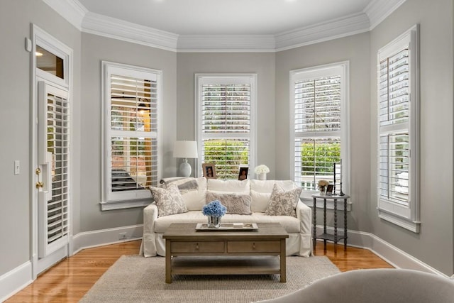 living area featuring ornamental molding and light hardwood / wood-style floors