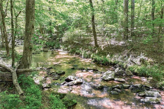 8240 Hurakan Creek Xing, Cumming, GA 30028 - view of woods
