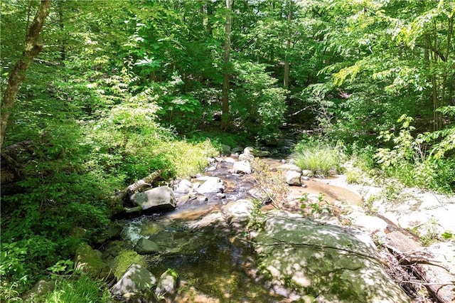 8240 Hurakan Creek Xing, Cumming, GA 30028 - view of woods