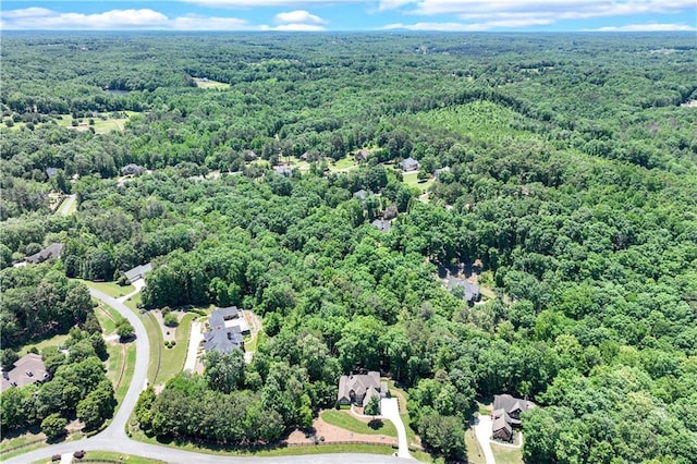 8240 Hurakan Creek Xing, Cumming, GA 30028 - bird's eye view of a forest