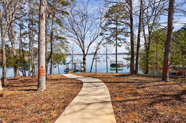 view of community featuring a water view and a boat dock