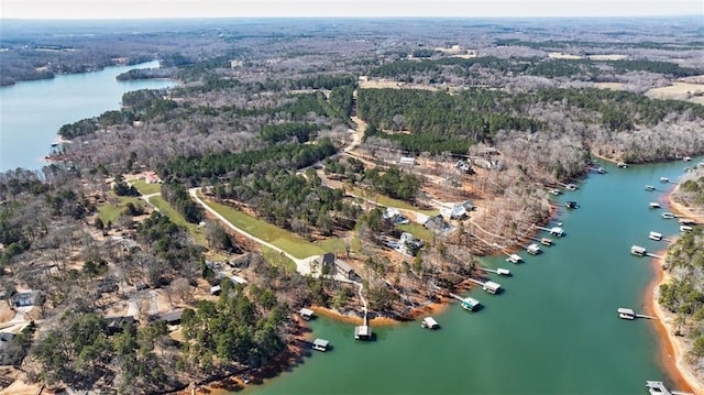 bird's eye view featuring a water view and a view of trees