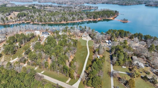 bird's eye view featuring a water view and a view of trees