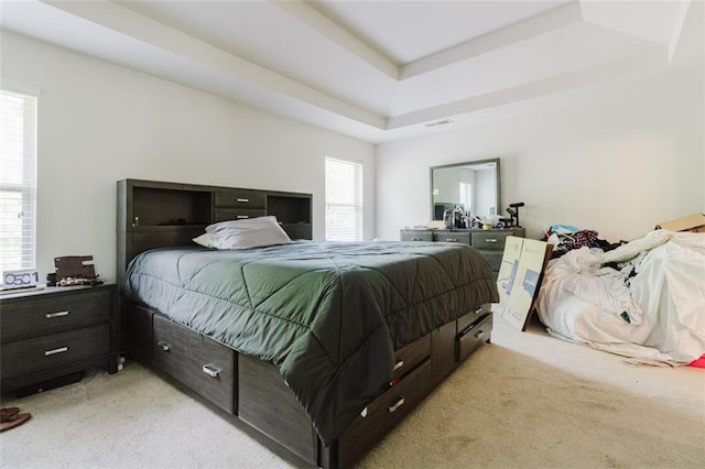 3241 Alhambra Cir, Hampton, GA 30228 - bedroom with a tray ceiling, light colored carpet, and visible vents
