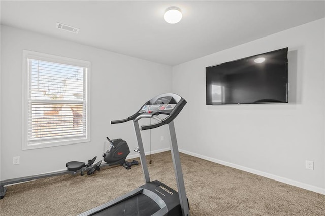 workout area featuring carpet