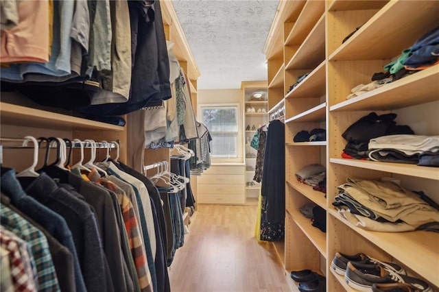 spacious closet featuring light wood-style floors