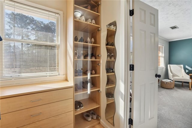 walk in closet featuring carpet and visible vents