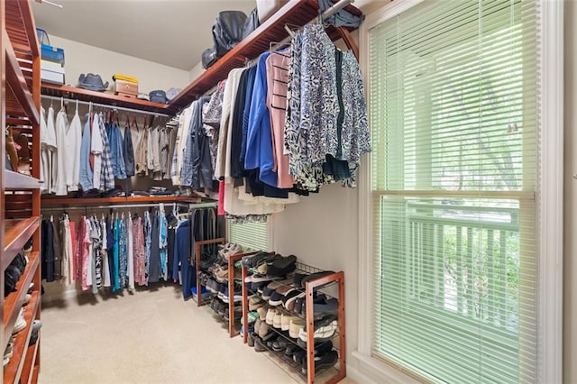 144 Canacaught Pl, Jasper, GA 30143 - walk in closet with carpet