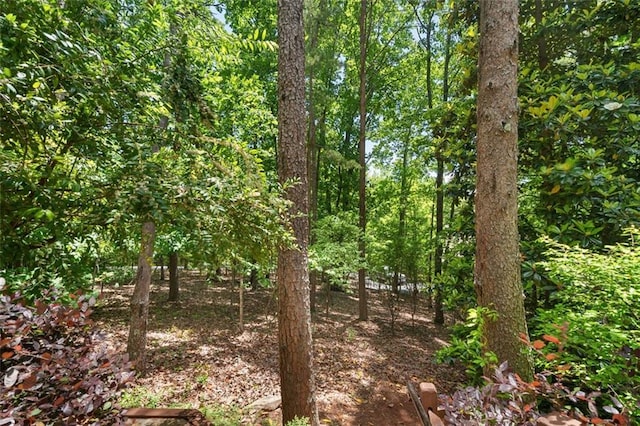 144 Canacaught Pl, Jasper, GA 30143 - view of nature