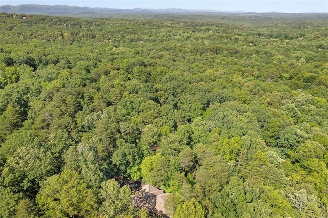 144 Canacaught Pl, Jasper, GA 30143 - aerial overview of property's location featuring a heavily wooded area