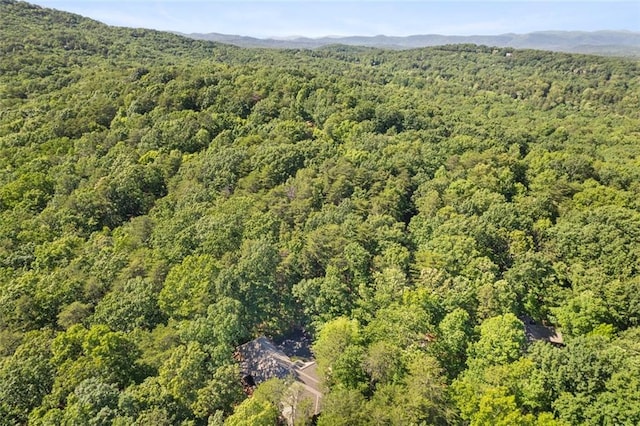144 Canacaught Pl, Jasper, GA 30143 - aerial view of property's location featuring a forest and mountains