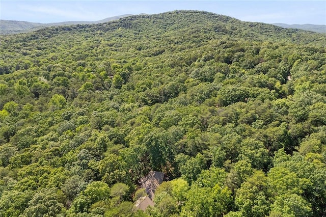 144 Canacaught Pl, Jasper, GA 30143 - aerial view of a forest and mountains
