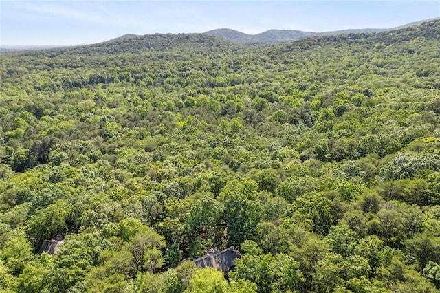 144 Canacaught Pl, Jasper, GA 30143 - aerial view of a forest and a mountainous background