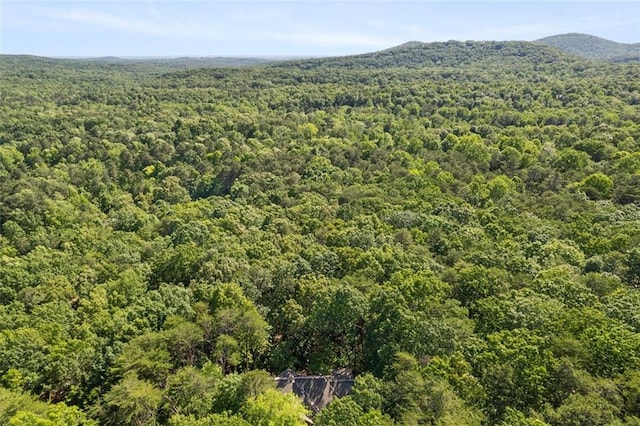 144 Canacaught Pl, Jasper, GA 30143 - aerial view of a forest and mountains