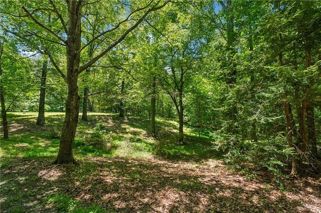 6960 Worley Rd, Cumming, GA 30028 - view of wooded area