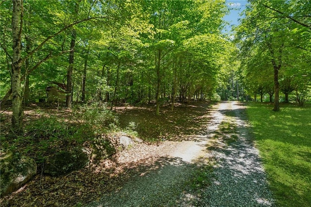 6960 Worley Rd, Cumming, GA 30028 - view of dirt / gravel road with a wooded view