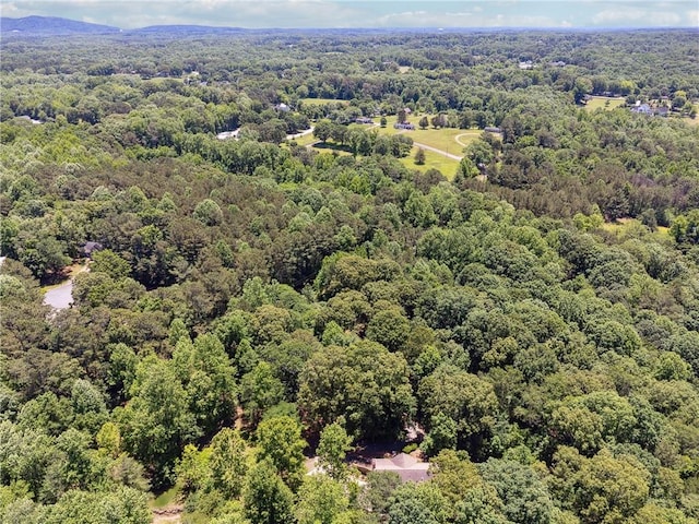 6960 Worley Rd, Cumming, GA 30028 - aerial view of a heavily wooded area
