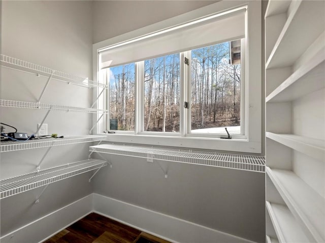 walk in closet featuring dark wood finished floors