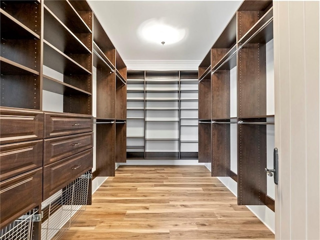 spacious closet featuring light wood-type flooring