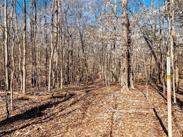 view of local wilderness