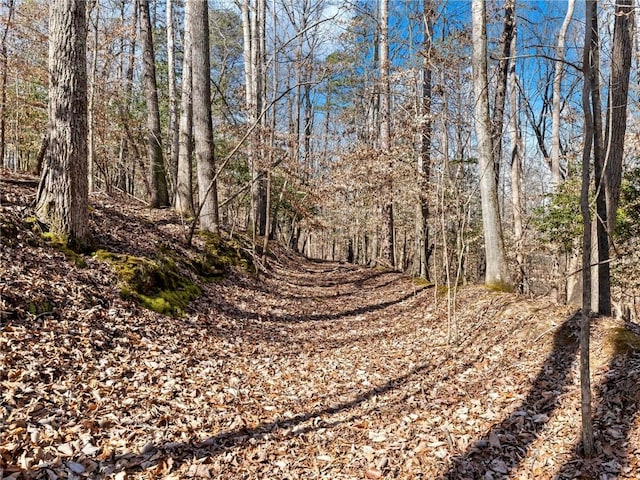 view of nature with a forest view