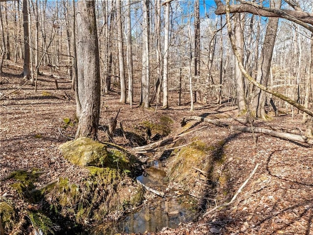 view of landscape with a wooded view