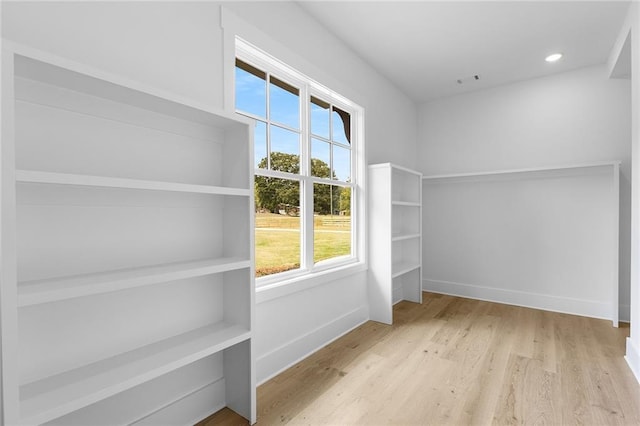 additional living space featuring light hardwood / wood-style flooring and a healthy amount of sunlight