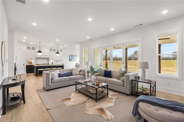 living room featuring light hardwood / wood-style flooring and sink