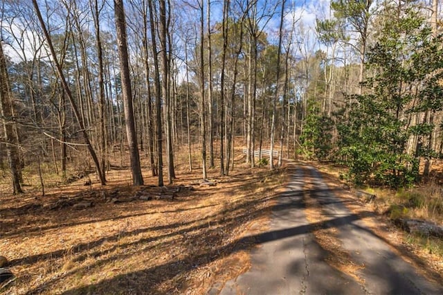 view of road with a forest view