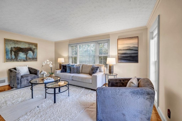 living room featuring a textured ceiling, baseboards, and crown molding