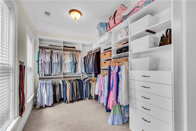 spacious closet featuring light carpet