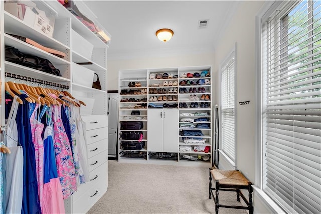 spacious closet featuring light carpet