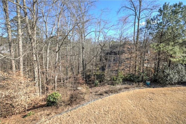 103 Old Avery Dr, Canton, GA 30115 - view of yard