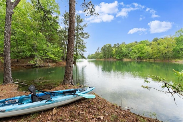 water view with a forest view