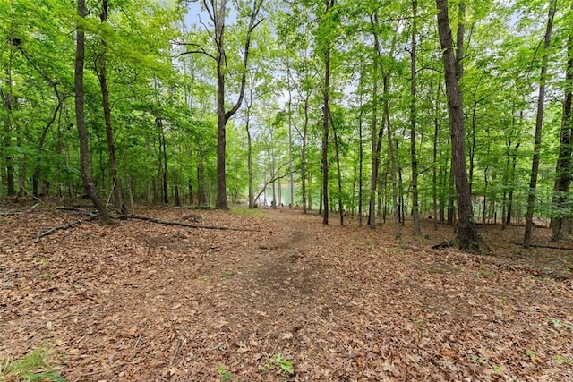 view of landscape featuring a view of trees
