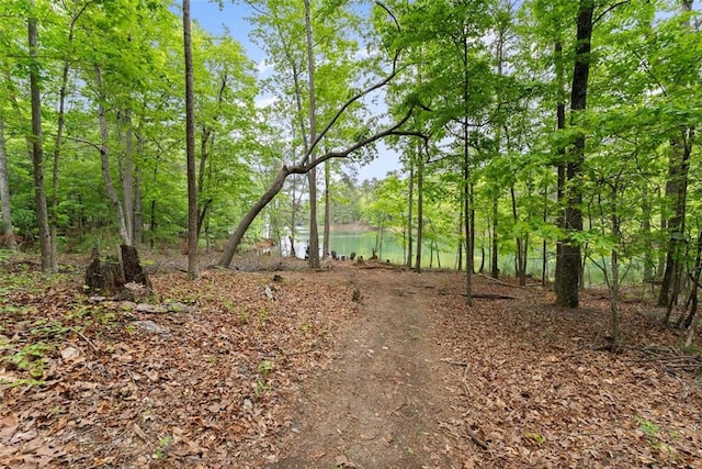 view of nature featuring a water view