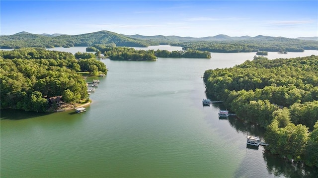 aerial view with a water and mountain view