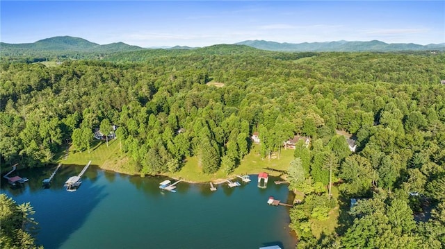 bird's eye view with a water and mountain view