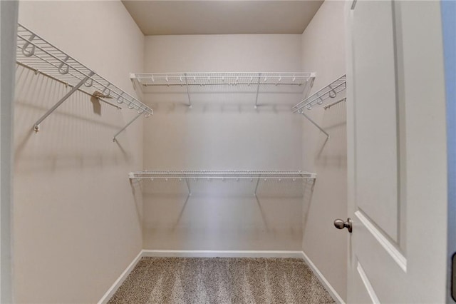 spacious closet featuring carpet floors