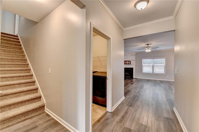 hall with crown molding and hardwood / wood-style flooring