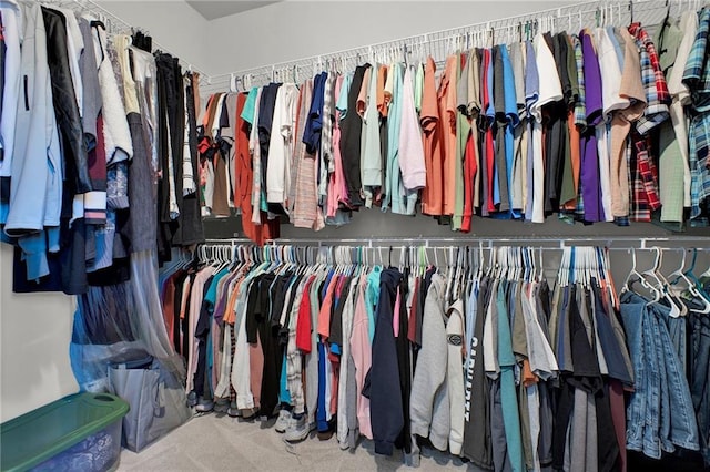 spacious closet with carpet floors