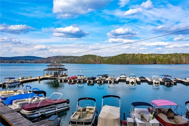 view of dock with a water view