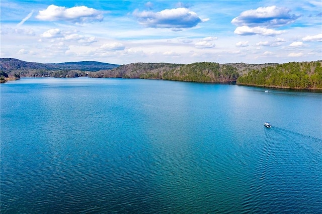 water view featuring a mountain view