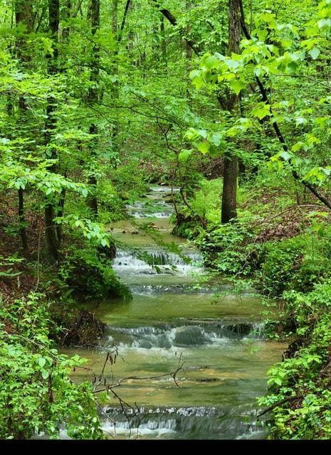 2 Brushy Mountain Rd, Rockmart, GA 30153