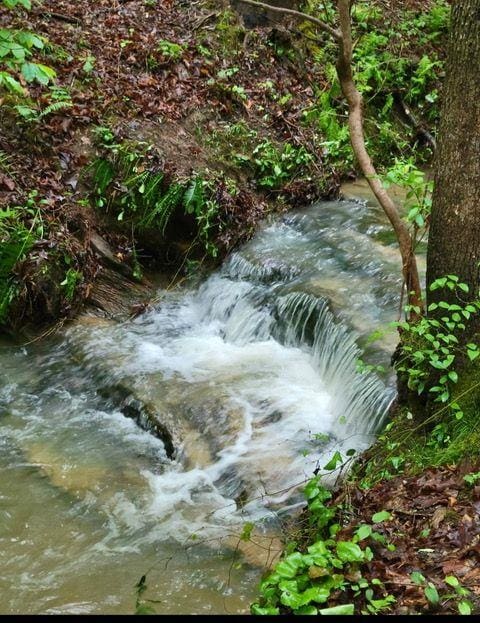 2 Brushy Mountain Rd, Rockmart, GA 30153