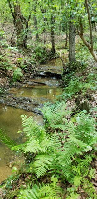 2 Brushy Mountain Rd, Rockmart, GA 30153